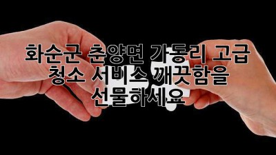 화순군 춘양면 가동리 고급 청소 서비스: 깨끗함을 선물하세요 ✨