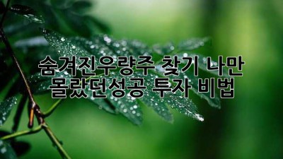 숨겨진💎우량주 찾기! 나만 몰랐던📈성공 투자 비법!